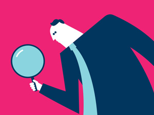 Reports and visual identity