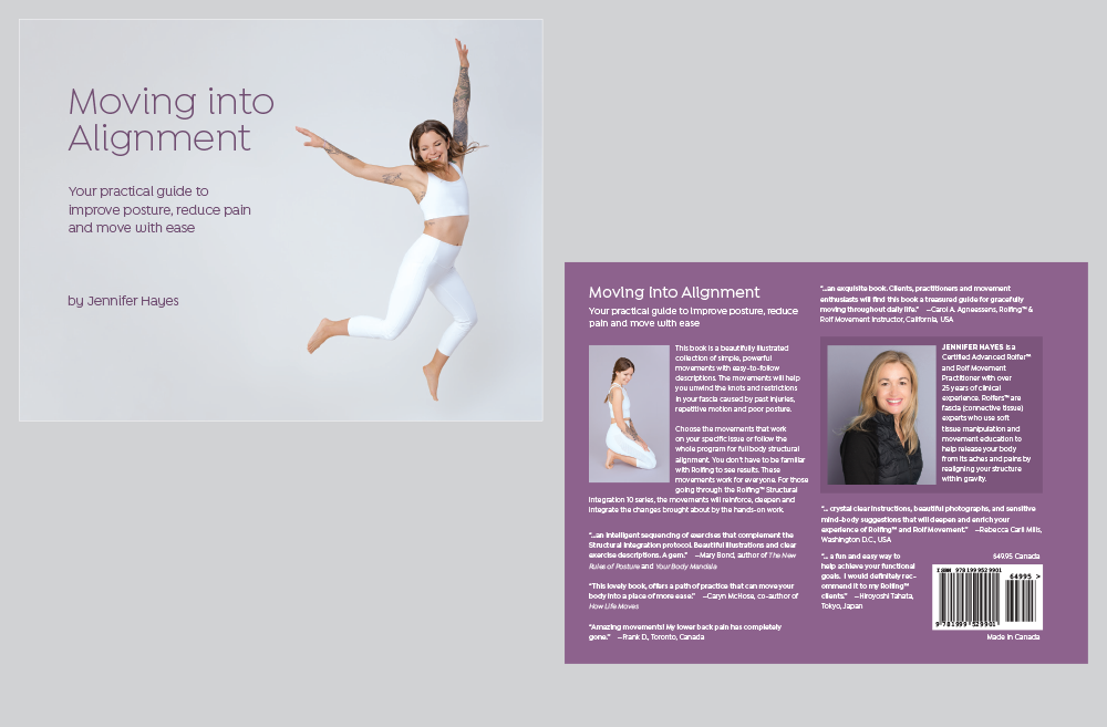 Alignment book cover